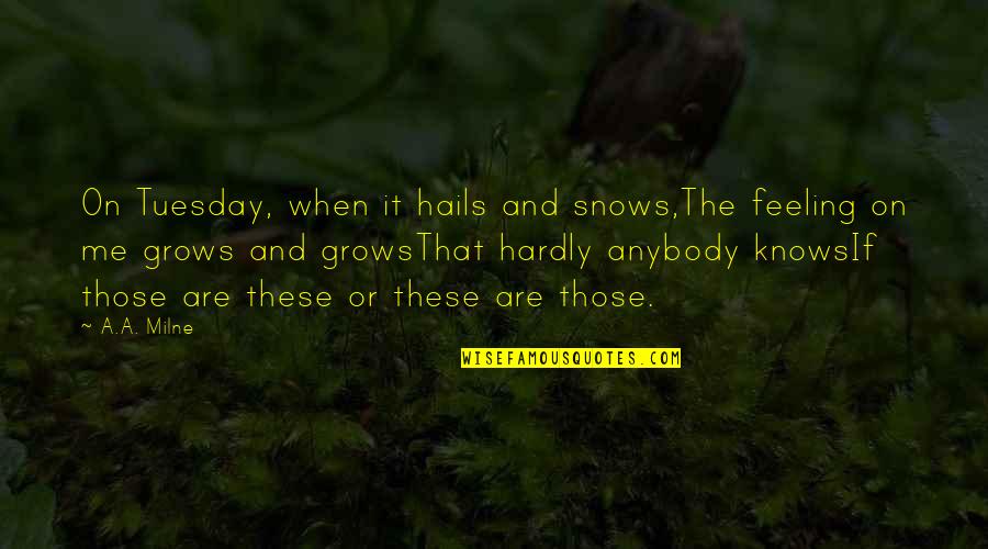 But For Me It Was Tuesday Quotes By A.A. Milne: On Tuesday, when it hails and snows,The feeling