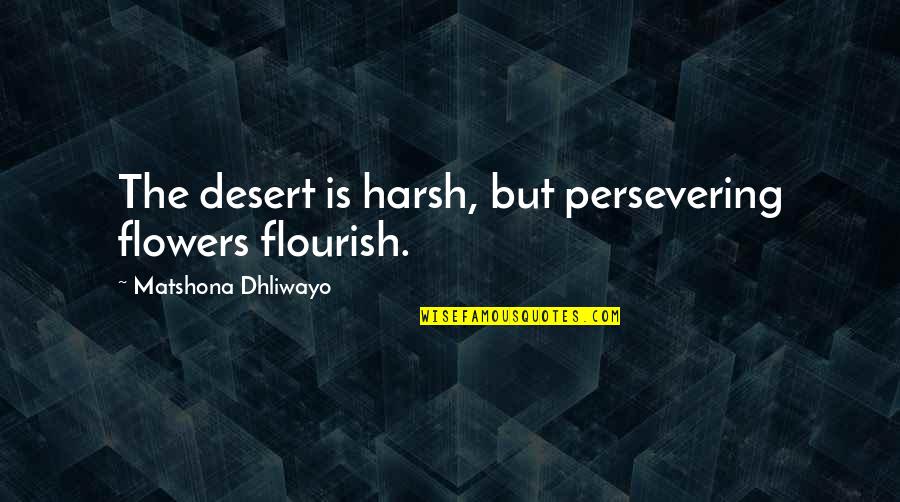 But Harsh Quotes By Matshona Dhliwayo: The desert is harsh, but persevering flowers flourish.