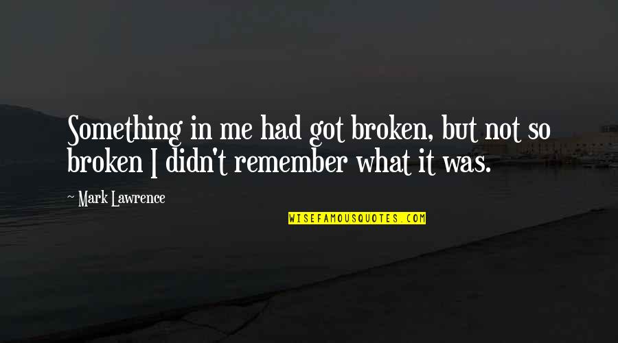 But Not Broken Quotes By Mark Lawrence: Something in me had got broken, but not