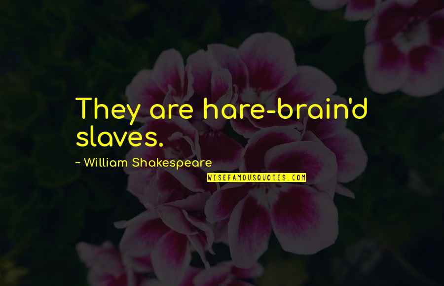 But Sassy Quotes By William Shakespeare: They are hare-brain'd slaves.