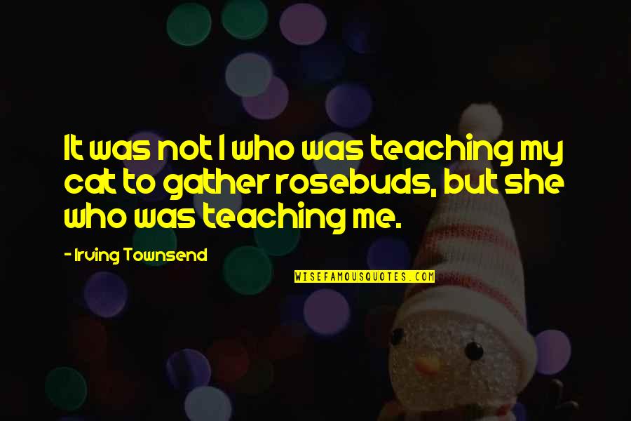 But She Quotes By Irving Townsend: It was not I who was teaching my