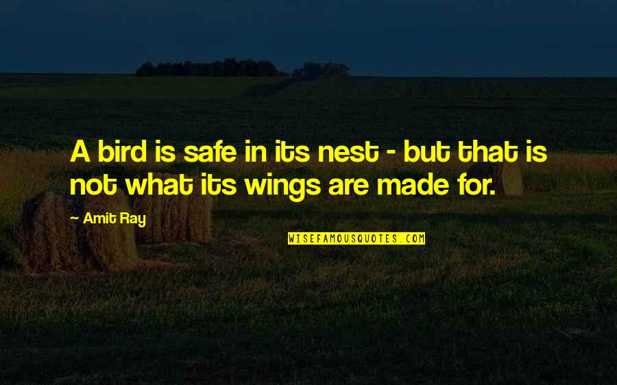 But True Wisdom Quotes By Amit Ray: A bird is safe in its nest -