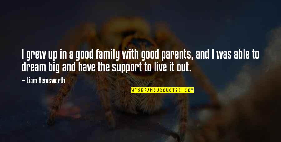 Butacas De Madera Quotes By Liam Hemsworth: I grew up in a good family with Butacas De Madera Quotes By Liam Hemsworth: I grew up in a good family with