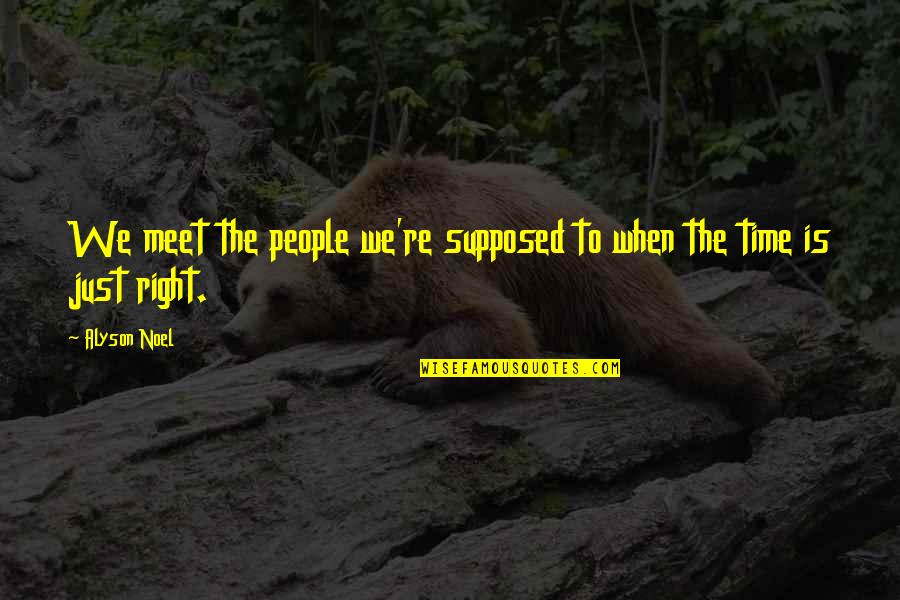Butchered Cow Quotes By Alyson Noel: We meet the people we're supposed to when