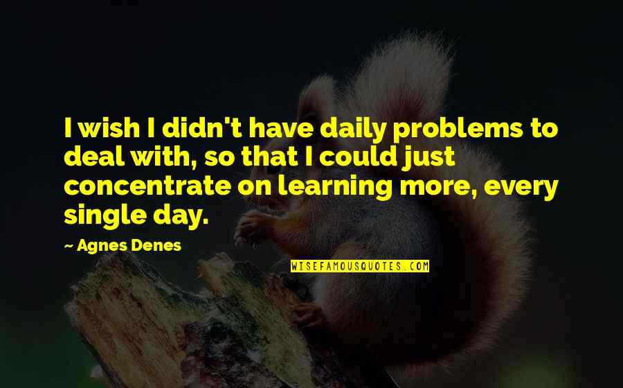 Butitsky Quotes By Agnes Denes: I wish I didn't have daily problems to Butitsky Quotes By Agnes Denes: I wish I didn't have daily problems to