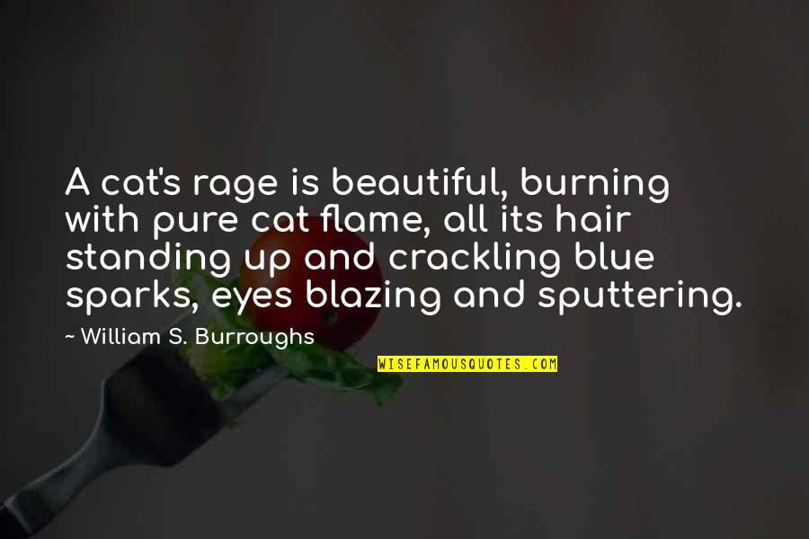 Butkus Quotes By William S. Burroughs: A cat's rage is beautiful, burning with pure Butkus Quotes By William S. Burroughs: A cat's rage is beautiful, burning with pure