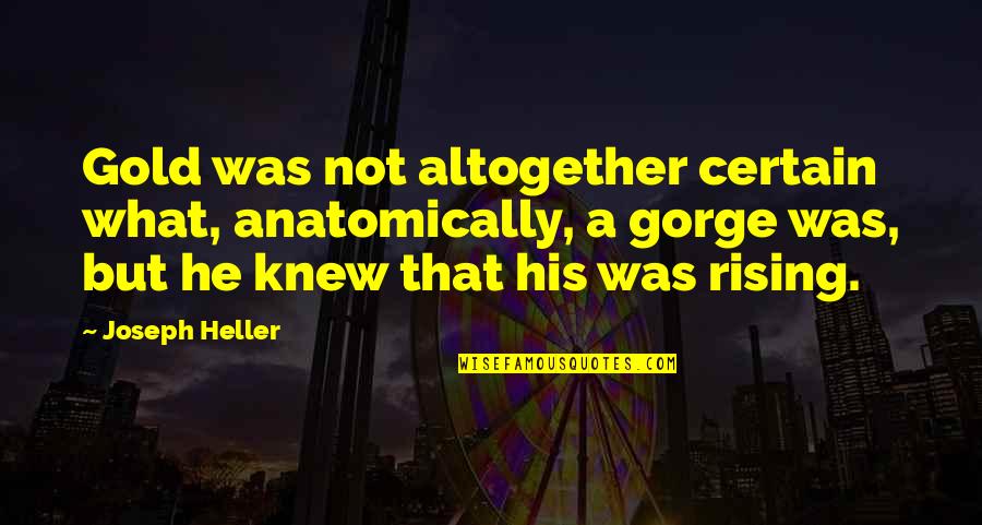 Butorpiac Quotes By Joseph Heller: Gold was not altogether certain what, anatomically, a Butorpiac Quotes By Joseph Heller: Gold was not altogether certain what, anatomically, a