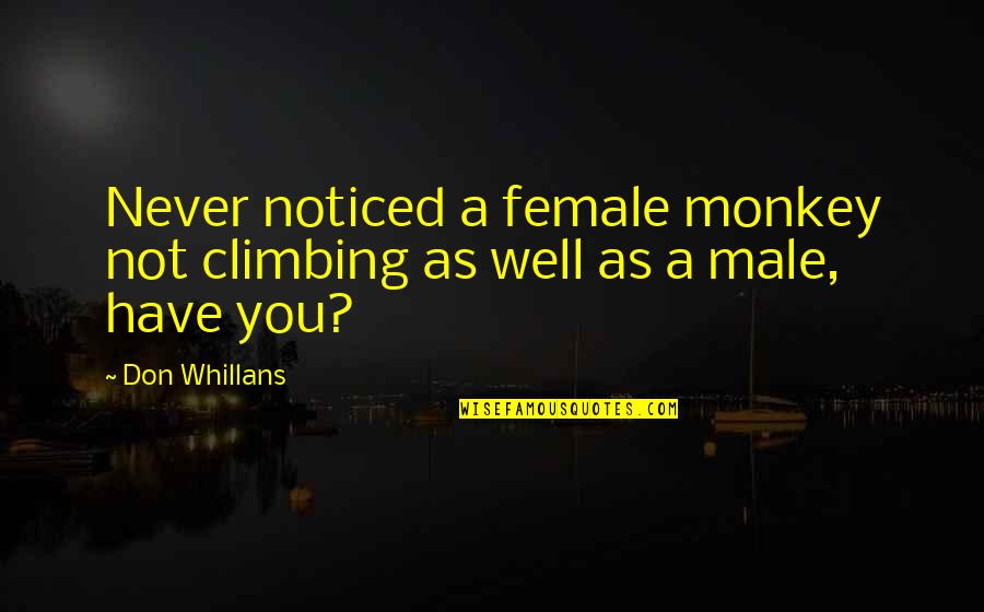 Buttercups Quotes By Don Whillans: Never noticed a female monkey not climbing as