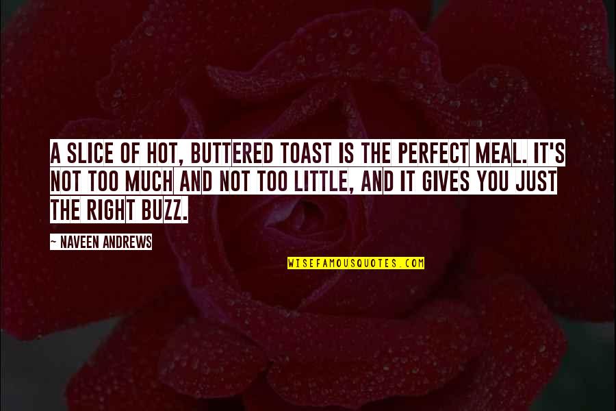 Buttered Quotes By Naveen Andrews: A slice of hot, buttered toast is the