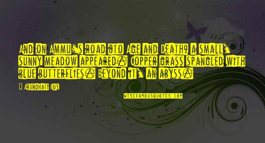Butterflies Death Quotes By Arundhati Roy: And on Ammu's road (to Age and Death) Butterflies Death Quotes By Arundhati Roy: And on Ammu's road (to Age and Death)