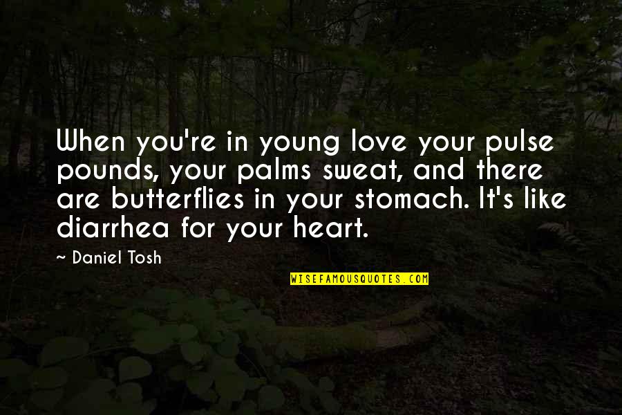 Butterflies In Stomach Love Quotes By Daniel Tosh: When you're in young love your pulse pounds,