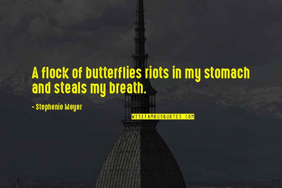 Butterflies In Your Stomach Love Quotes By Stephenie Meyer: A flock of butterflies riots in my stomach