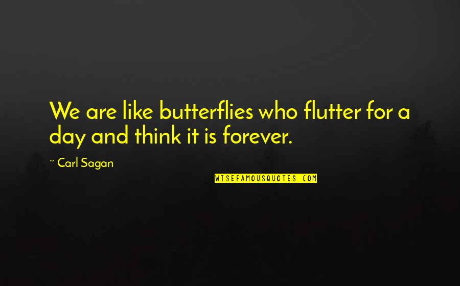 Butterflies Quotes By Carl Sagan: We are like butterflies who flutter for a
