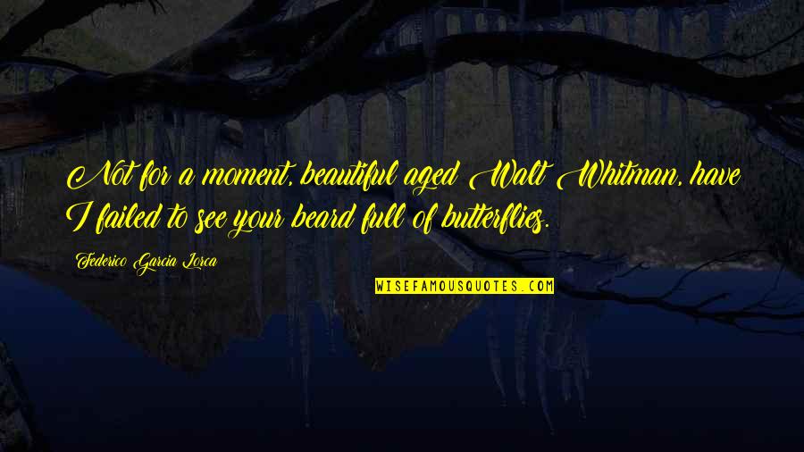 Butterflies Quotes By Federico Garcia Lorca: Not for a moment, beautiful aged Walt Whitman,