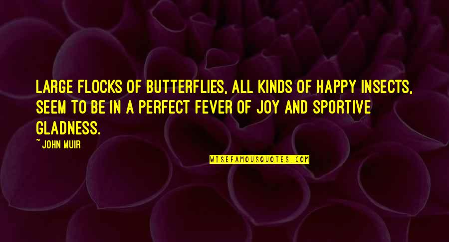 Butterflies Quotes By John Muir: Large flocks of butterflies, all kinds of happy