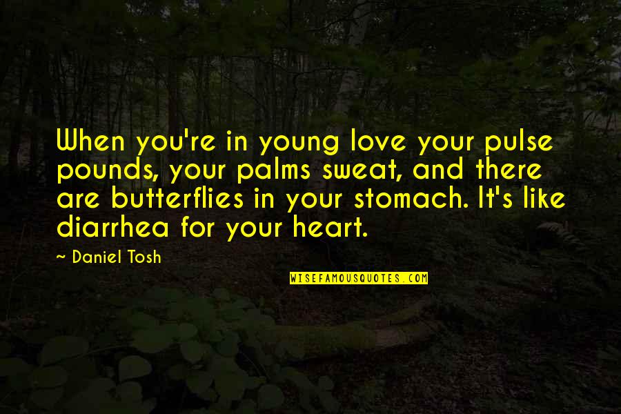 Butterflies Stomach Love Quotes By Daniel Tosh: When you're in young love your pulse pounds,
