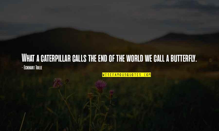 Butterfly And Caterpillar Quotes By Eckhart Tolle: What a caterpillar calls the end of the