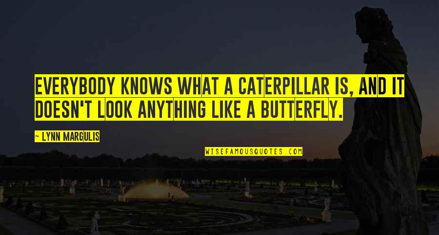 Butterfly And Caterpillar Quotes By Lynn Margulis: Everybody knows what a caterpillar is, and it