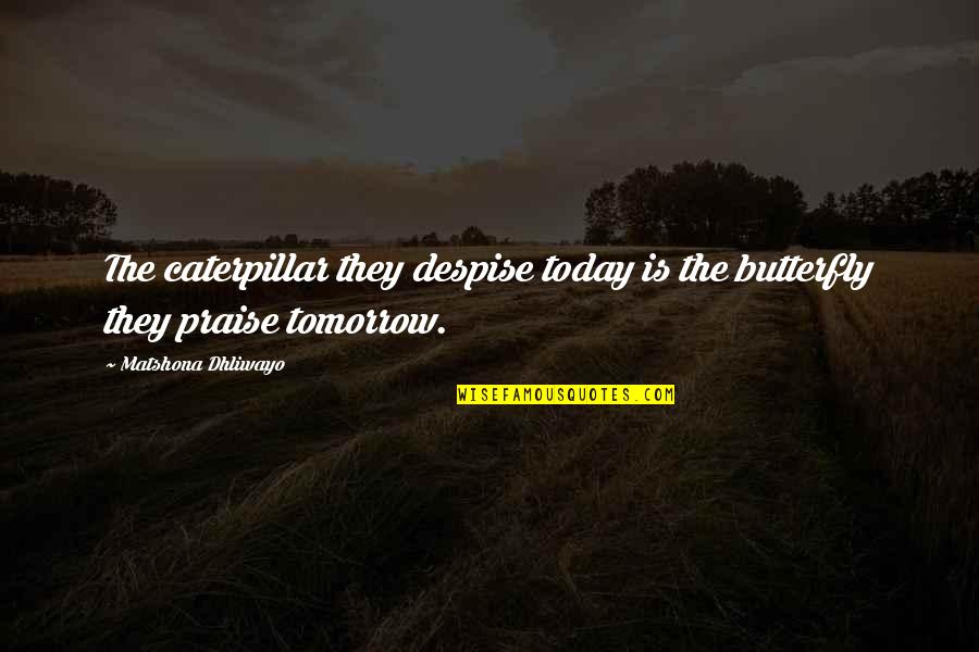 Butterfly And Caterpillar Quotes By Matshona Dhliwayo: The caterpillar they despise today is the butterfly Butterfly And Caterpillar Quotes By Matshona Dhliwayo: The caterpillar they despise today is the butterfly