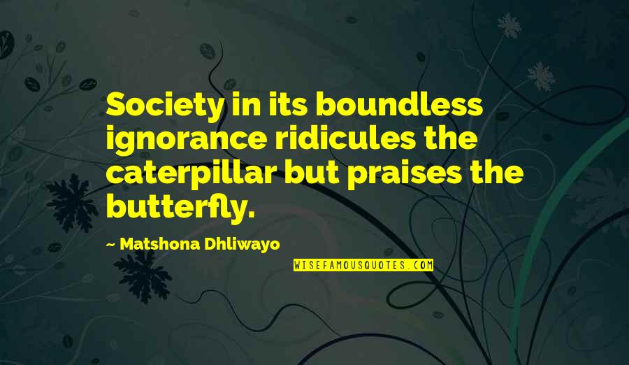Butterfly And Caterpillar Quotes By Matshona Dhliwayo: Society in its boundless ignorance ridicules the caterpillar