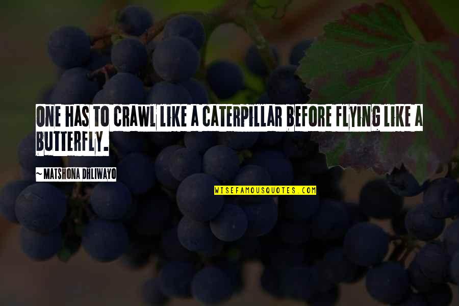 Butterfly And Caterpillar Quotes By Matshona Dhliwayo: One has to crawl like a caterpillar before