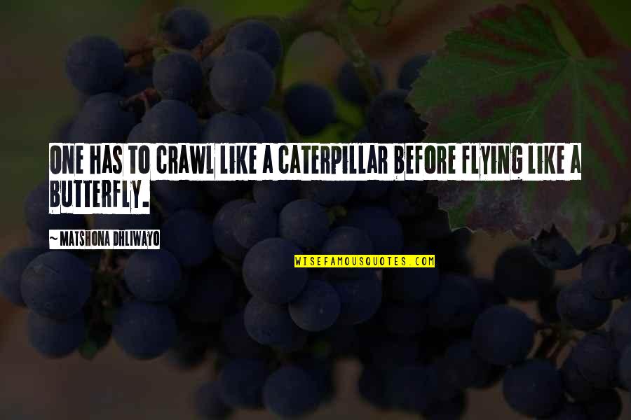 Butterfly And Caterpillar Quotes By Matshona Dhliwayo: One has to crawl like a caterpillar before Butterfly And Caterpillar Quotes By Matshona Dhliwayo: One has to crawl like a caterpillar before