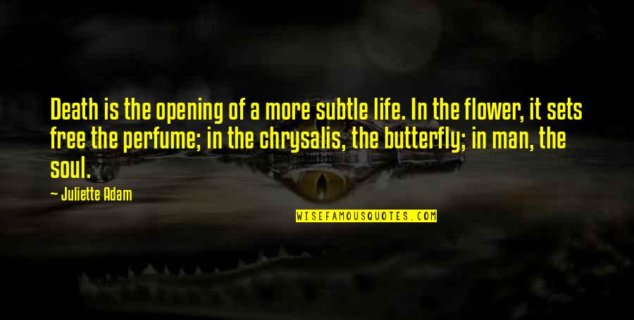 Butterfly Chrysalis Quotes By Juliette Adam: Death is the opening of a more subtle