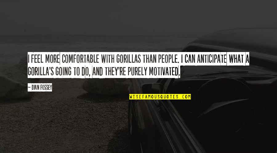 Butterfly Wing Quotes By Dian Fossey: I feel more comfortable with gorillas than people. Butterfly Wing Quotes By Dian Fossey: I feel more comfortable with gorillas than people.