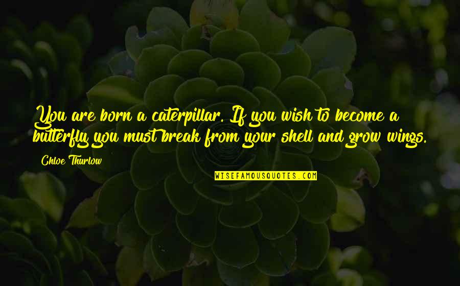 Butterfly Wings Inspirational Quotes By Chloe Thurlow: You are born a caterpillar. If you wish