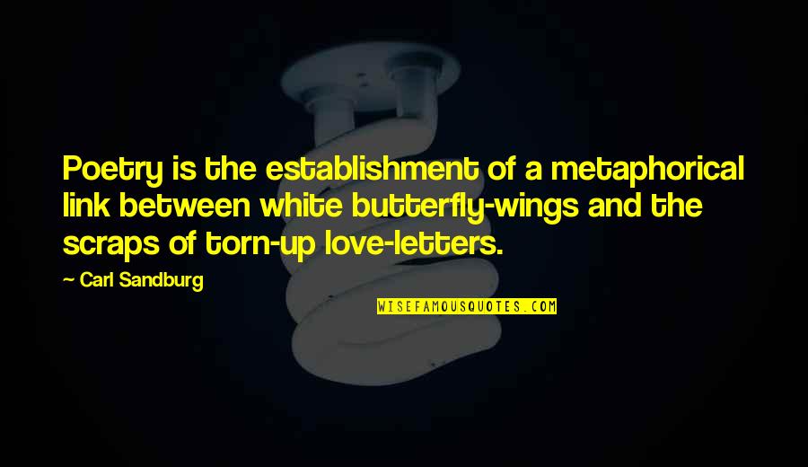 Butterfly Wings Quotes By Carl Sandburg: Poetry is the establishment of a metaphorical link