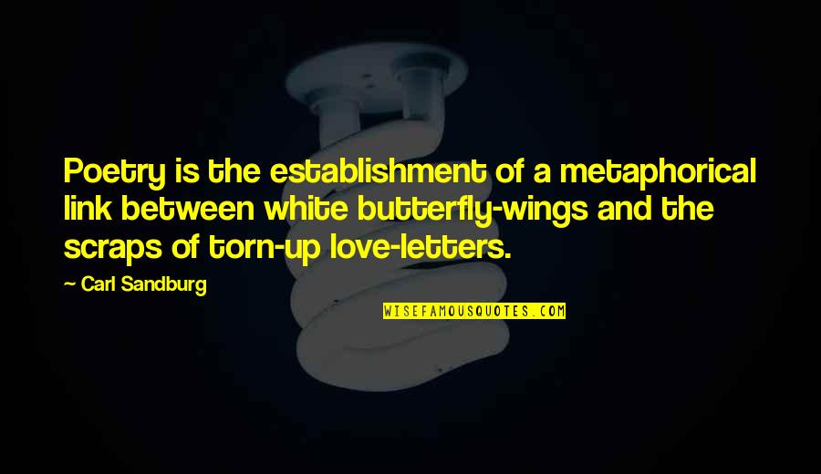 Butterfly Wings Quotes By Carl Sandburg: Poetry is the establishment of a metaphorical link Butterfly Wings Quotes By Carl Sandburg: Poetry is the establishment of a metaphorical link