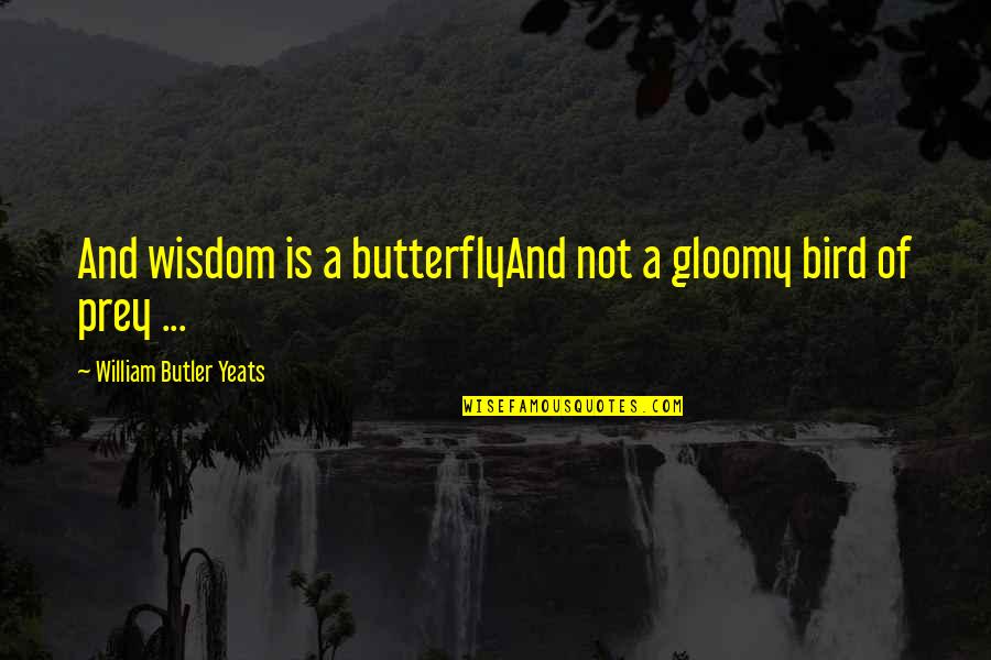 Butterfly Wisdom Quotes By William Butler Yeats: And wisdom is a butterflyAnd not a gloomy