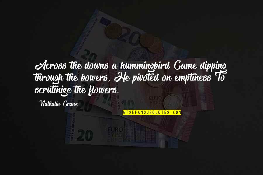 Buttonholing Quotes By Nathalia Crane: Across the downs a hummingbird Came dipping through Buttonholing Quotes By Nathalia Crane: Across the downs a hummingbird Came dipping through
