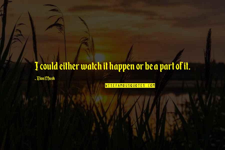 Butzke Construction Quotes By Elon Musk: I could either watch it happen or be