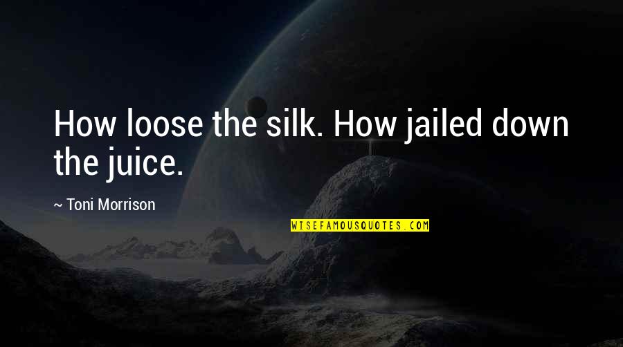 Buyandhold Quotes By Toni Morrison: How loose the silk. How jailed down the
