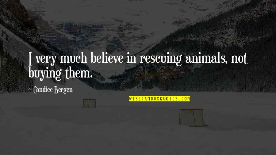 Buying Quotes By Candice Bergen: I very much believe in rescuing animals, not