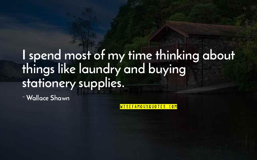 Buying Your Own Things Quotes By Wallace Shawn: I spend most of my time thinking about