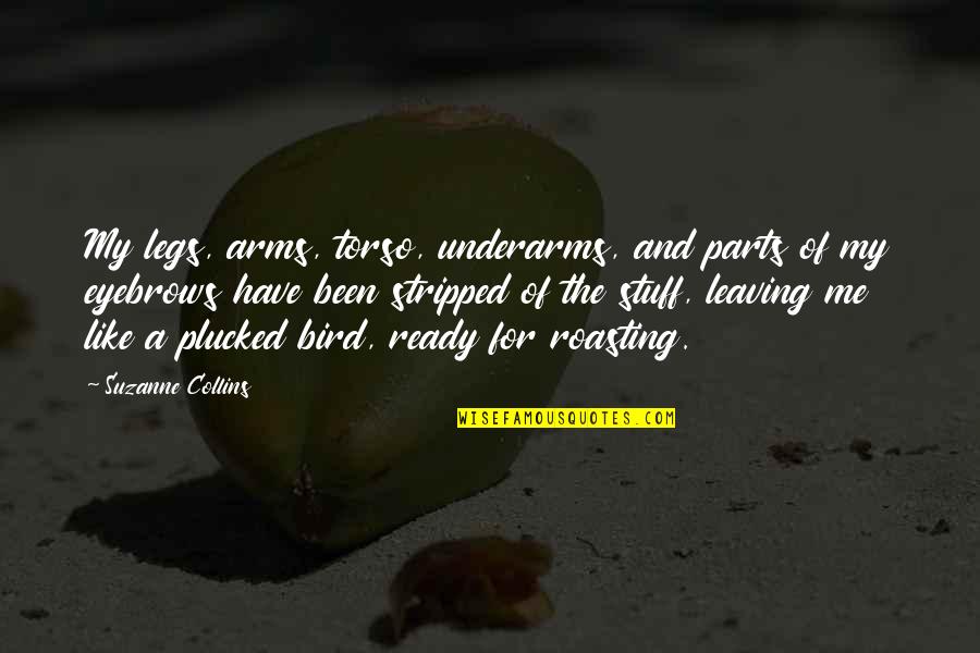 Buyout Agreement Quotes By Suzanne Collins: My legs, arms, torso, underarms, and parts of Buyout Agreement Quotes By Suzanne Collins: My legs, arms, torso, underarms, and parts of