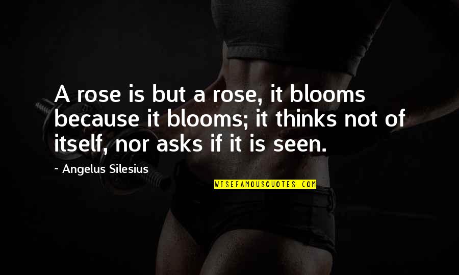 Buzbees Quotes By Angelus Silesius: A rose is but a rose, it blooms