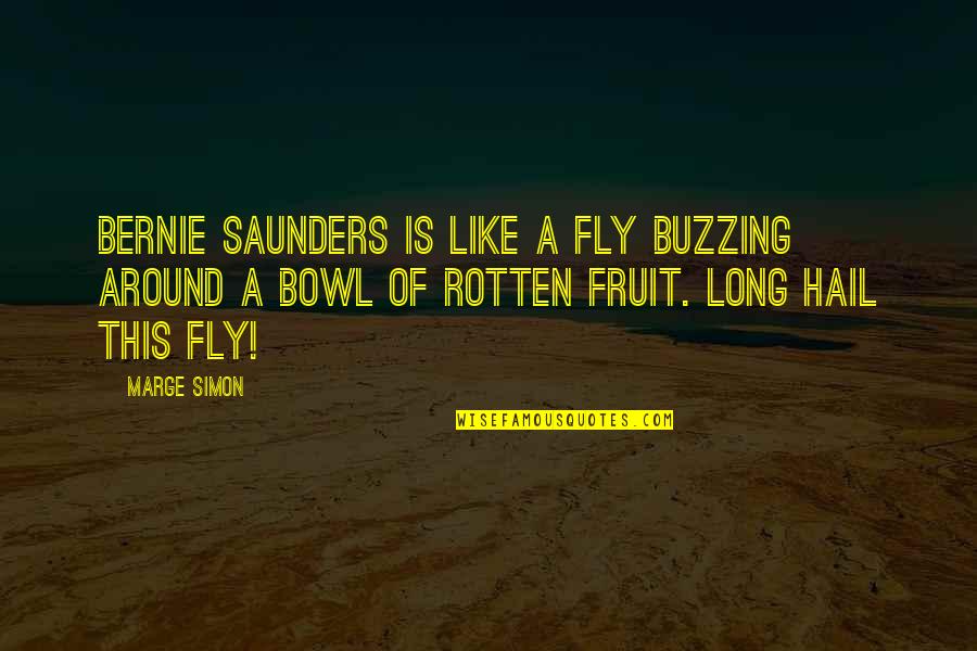 Buzzing Like A Quotes By Marge Simon: Bernie Saunders is like a fly buzzing around