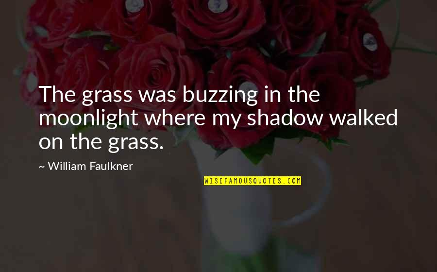 Buzzing Quotes By William Faulkner: The grass was buzzing in the moonlight where Buzzing Quotes By William Faulkner: The grass was buzzing in the moonlight where