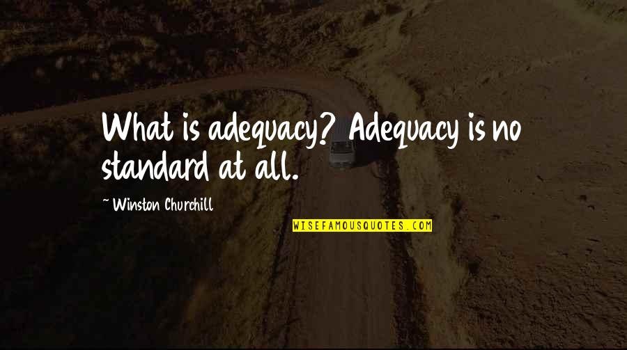Buzzums Quotes By Winston Churchill: What is adequacy? Adequacy is no standard at Buzzums Quotes By Winston Churchill: What is adequacy? Adequacy is no standard at