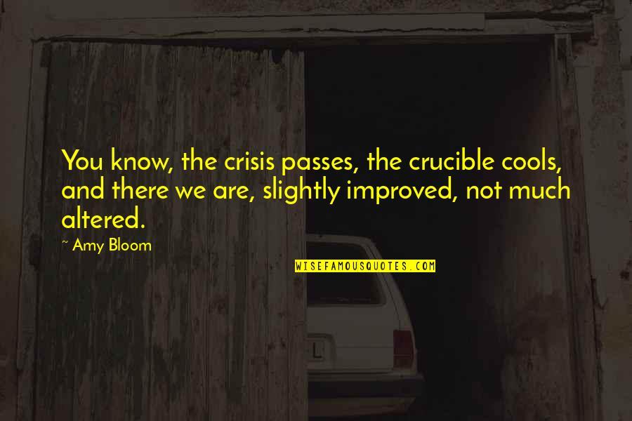 Buzzy Quotes By Amy Bloom: You know, the crisis passes, the crucible cools,
