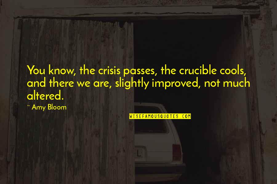 Buzzy Quotes By Amy Bloom: You know, the crisis passes, the crucible cools, Buzzy Quotes By Amy Bloom: You know, the crisis passes, the crucible cools,