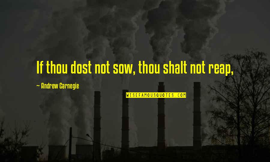 Bvb Logo Quotes By Andrew Carnegie: If thou dost not sow, thou shalt not Bvb Logo Quotes By Andrew Carnegie: If thou dost not sow, thou shalt not
