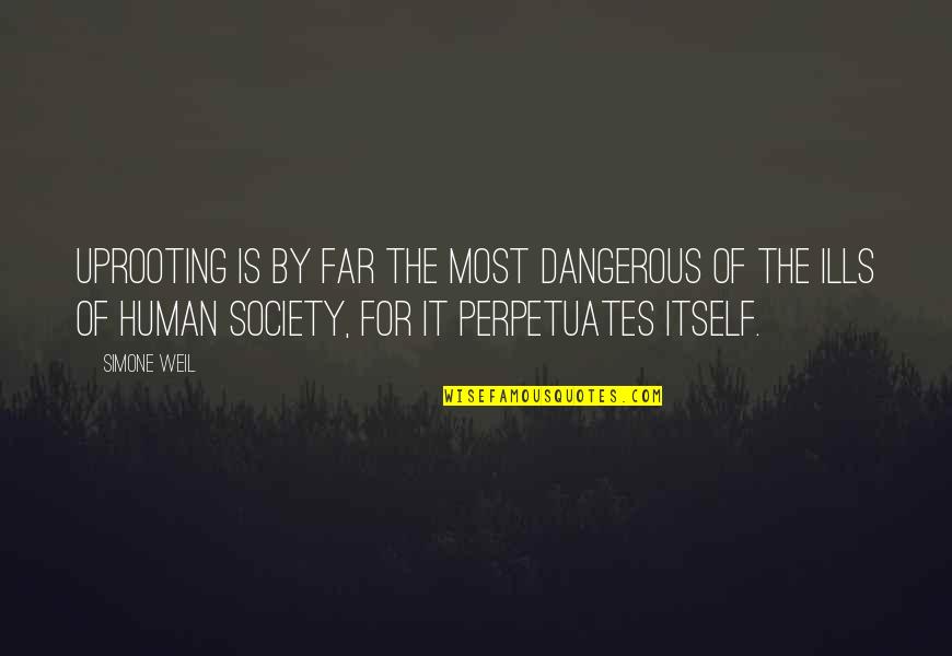 Bvb Lyric Quotes By Simone Weil: Uprooting is by far the most dangerous of