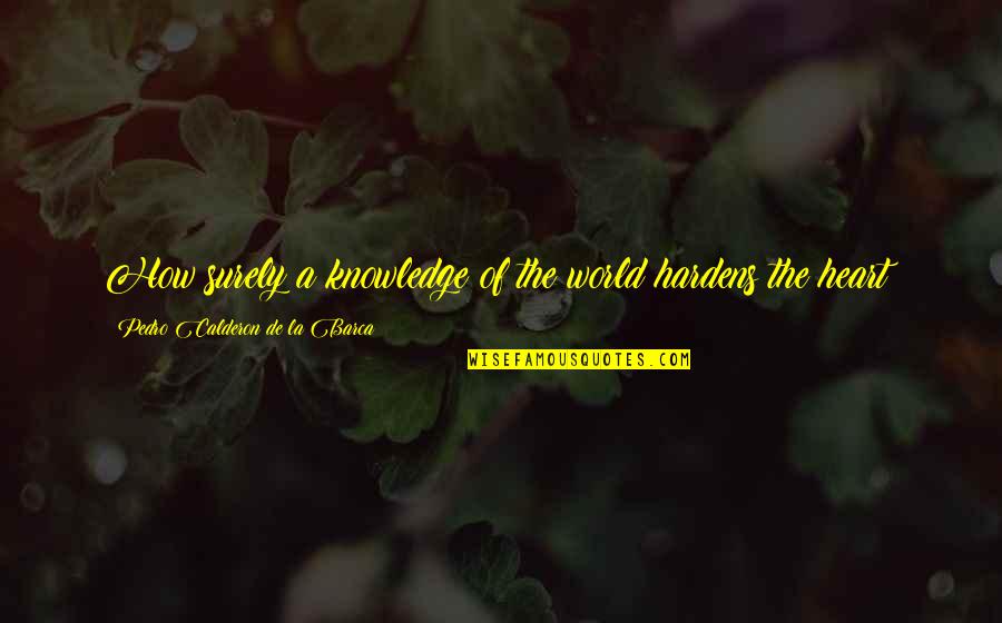 Bx Quote Quotes By Pedro Calderon De La Barca: How surely a knowledge of the world hardens Bx Quote Quotes By Pedro Calderon De La Barca: How surely a knowledge of the world hardens