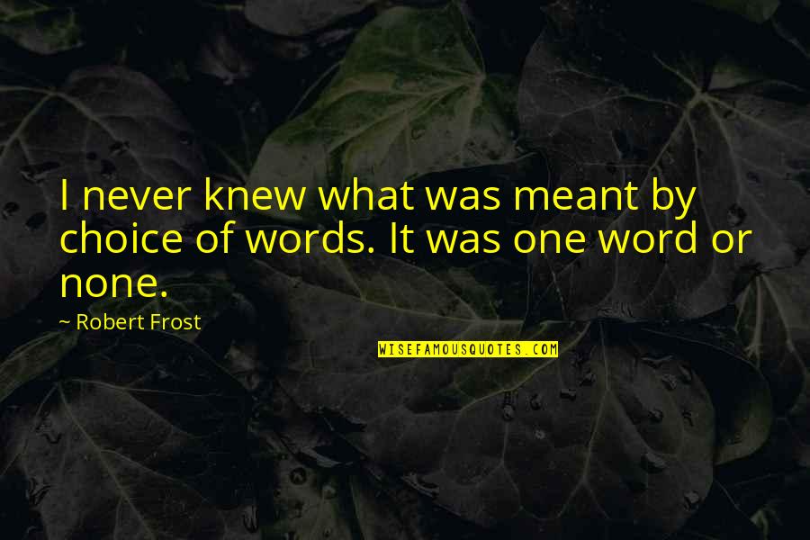 By Choice Quotes By Robert Frost: I never knew what was meant by choice