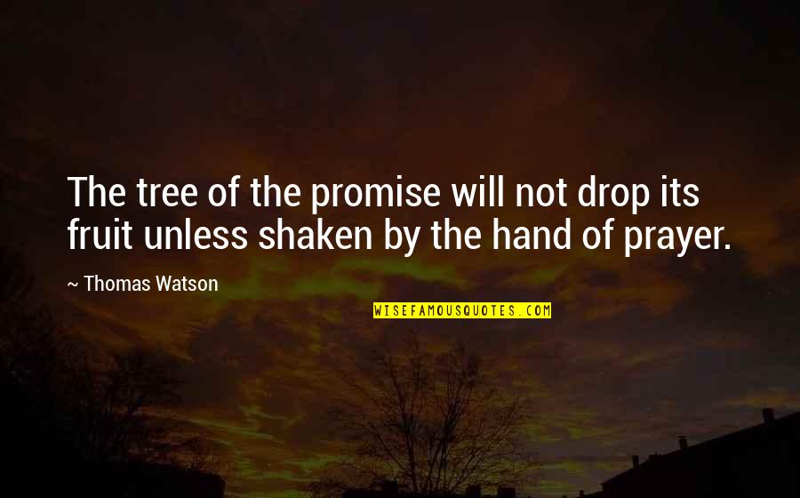 By Hand Quotes By Thomas Watson: The tree of the promise will not drop