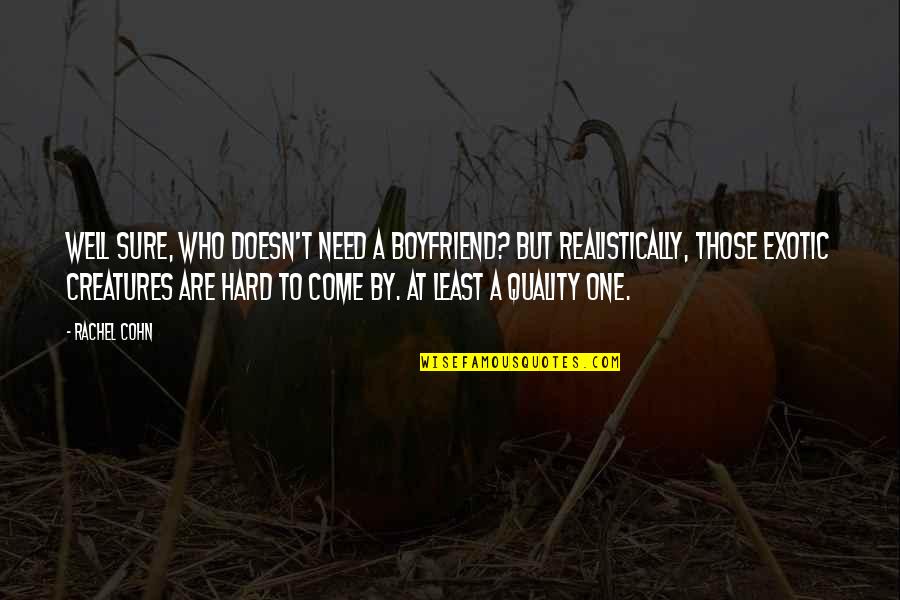 By Krusseldorf And Koan Quotes By Rachel Cohn: Well sure, who doesn't need a boyfriend? but By Krusseldorf And Koan Quotes By Rachel Cohn: Well sure, who doesn't need a boyfriend? but